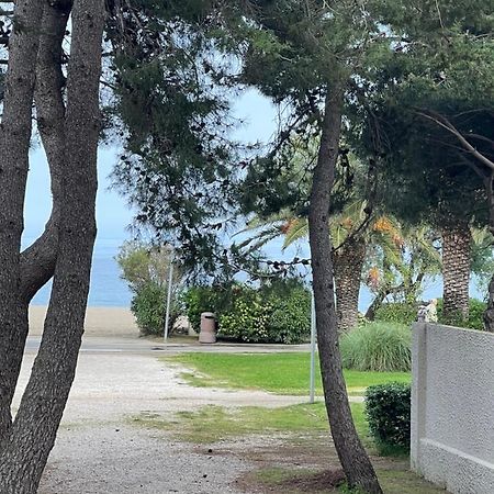 Grand F3 Vue Mer Centre Plage Proche Commerces Plage d'Argeles Exterior photo