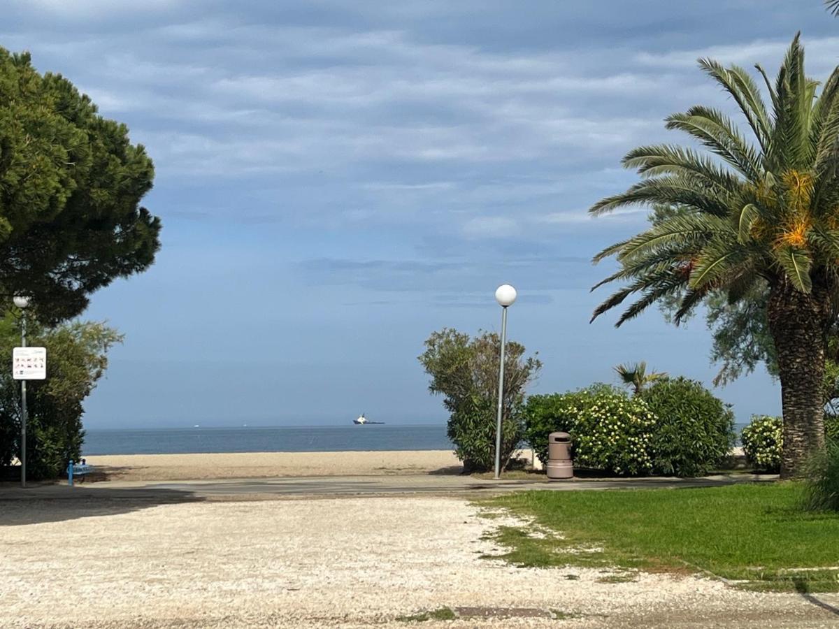 Grand F3 Vue Mer Centre Plage Proche Commerces Plage d'Argeles Exterior photo